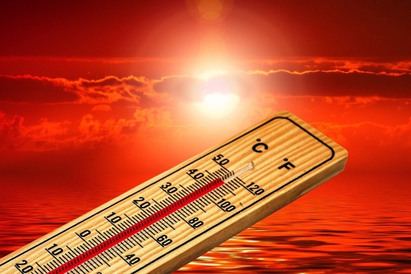 Sanidad estima en 679 las muertes hasta el domingo por la ola de calor en España